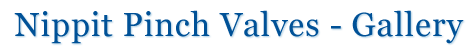 Pinch Valves